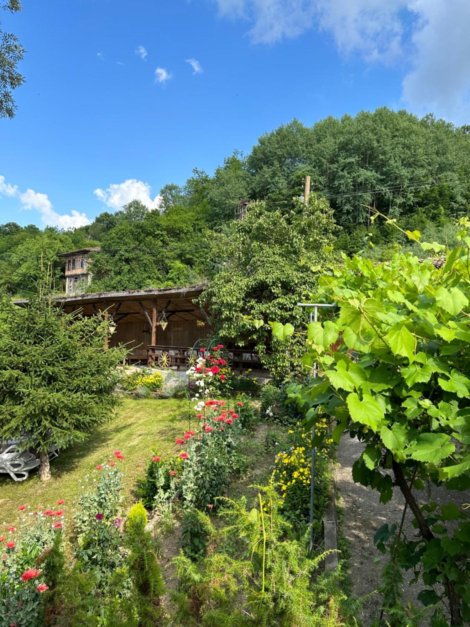 Вила Чевермето Palitsi Extérieur photo