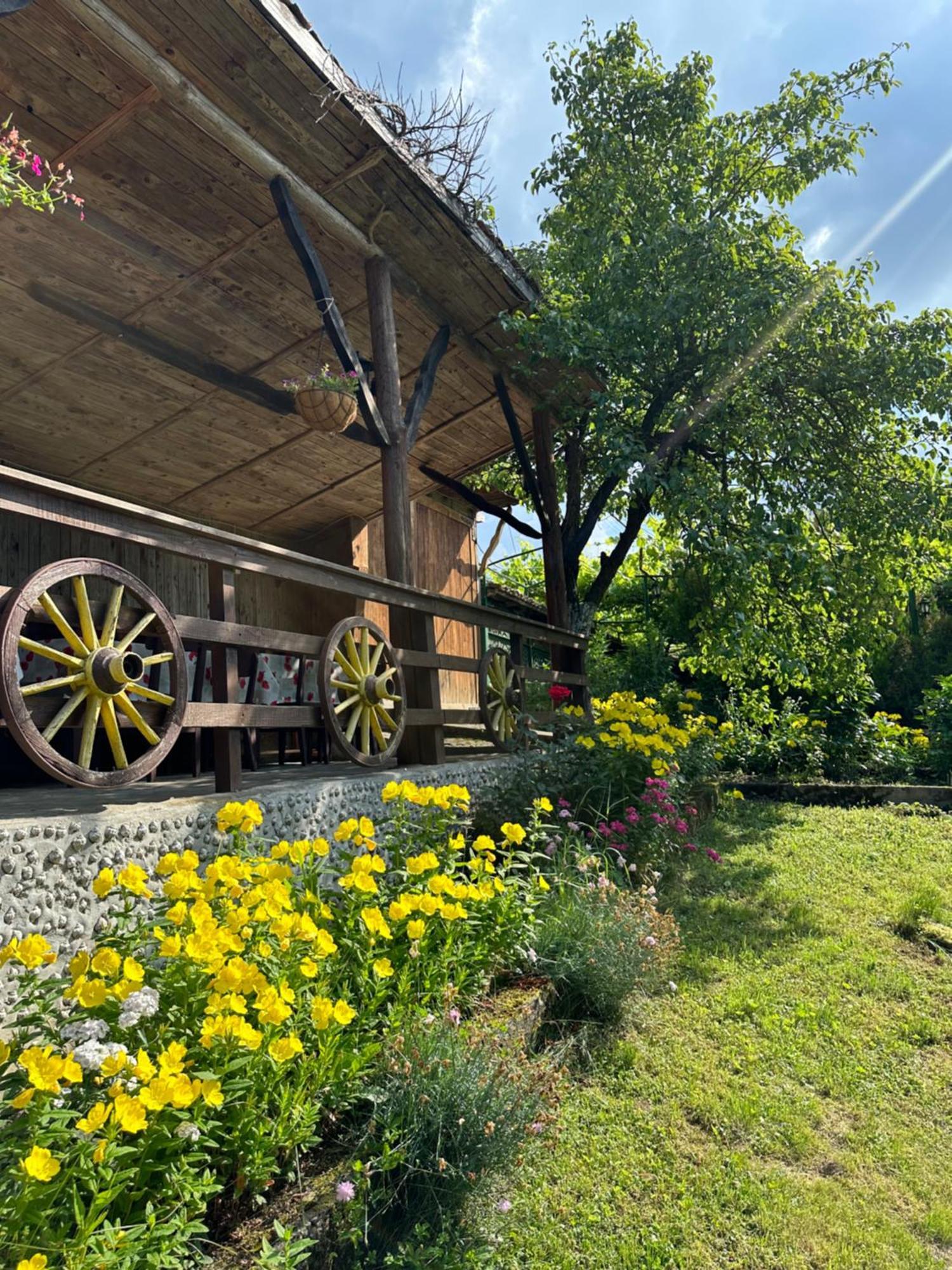 Вила Чевермето Palitsi Extérieur photo