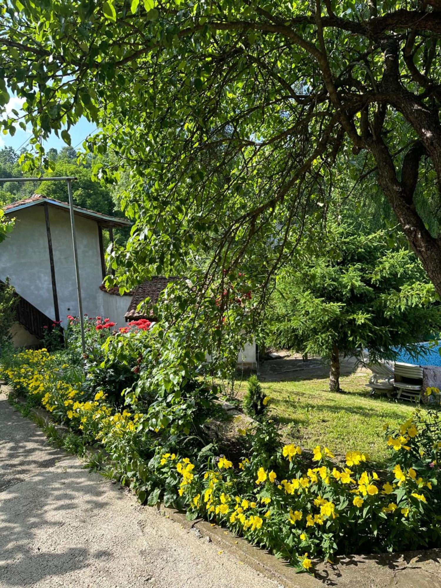 Вила Чевермето Palitsi Extérieur photo