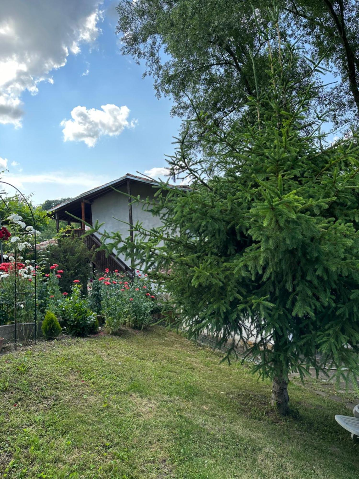 Вила Чевермето Palitsi Extérieur photo